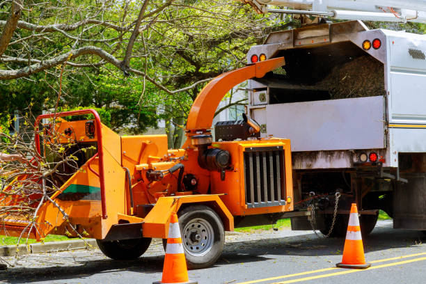 Best Lot and Land Clearing  in North Manchester, IN